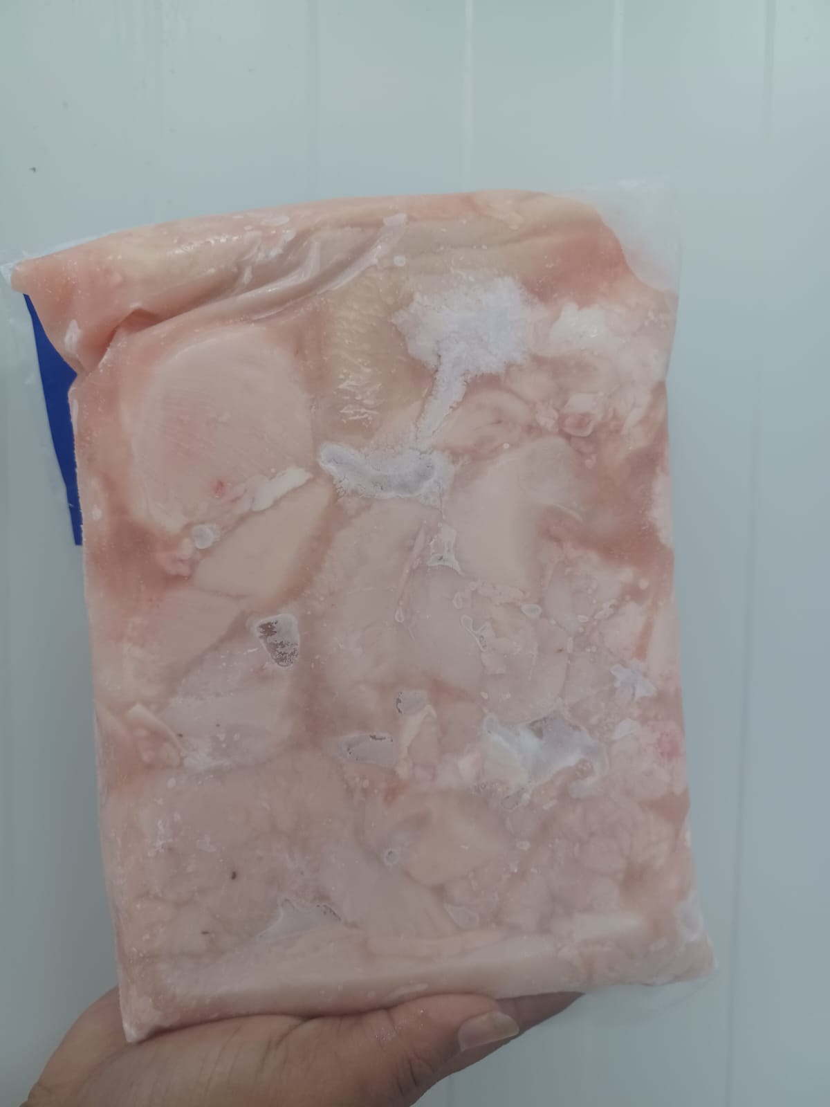 fillet dada dan paha frozen
