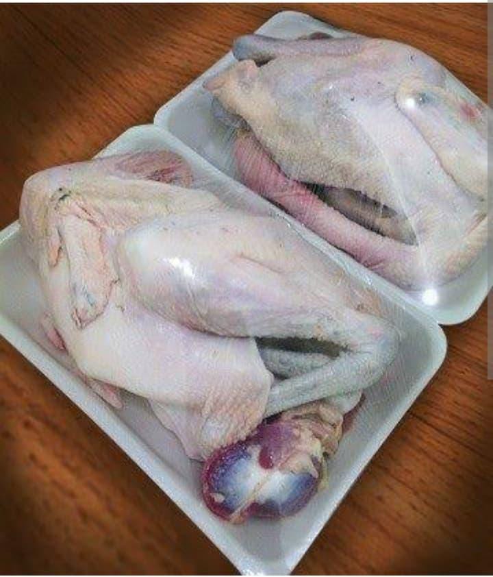 karkas ayam kampung